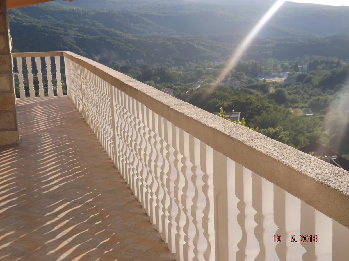 Raj Kotor